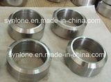 Welding Neck Flange Forging Flange Steel Flange