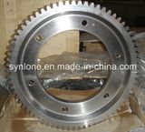 Special Machining Gear Shaft in China