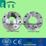 Forged Steel 316L Flange