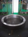 Gear Ring (LYR038) 