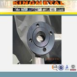 ANSI B16.5 ASTM A105 Casting Flange