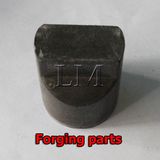 OEM Cold Forging Parts