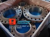 ASME SA182 F316L WNRTJ 600# Flange