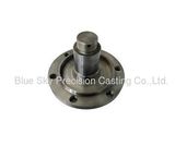 Blue Sky Precision Casting Co., Ltd.