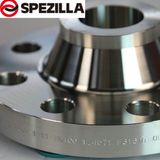 Stainless Steel Welding Neck Flanges