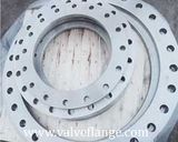 DIN Standard Flange