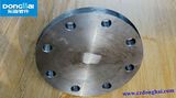 20# Blind Flange (0010)