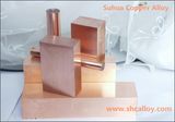 Die Casting Plunger Tip Copper C17510