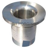 Steel Forging Part