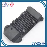 Professional Custom Die Casting Car Parts (SY0121)