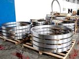 Stainless Steel Flange/Pipe Fittings (ELIDD-SDDC)