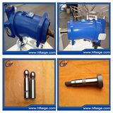 Applicable for High Pressure Working Condition Clean Pump