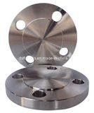 1.4301 Flanges