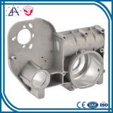 Customized Made OEM Aluminum Die Casting Lighting Parts (SY1153)
