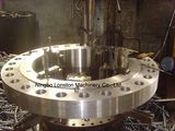 Forged Steel Forging Flange