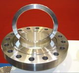 Blind Flange (BL01)