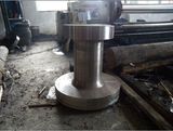 Forging Intermediate Shaft/Forged Intermediate Shaft