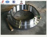 Forging Stainless Steel Flange