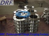 Stainless Steel Flange ANSI B16.5