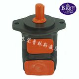 Hot Sale Cast Iron Rotary Vane Pump