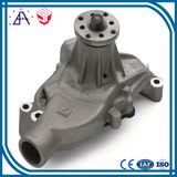 OEM Customized Design Aluminum Die Casting Mold (SY1013)