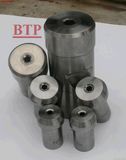 Tungsten Carbide Hex Beam Tail Mould for Hex Head Screw (BTP-D068)