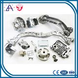 Made in China Aluminum Casting Parts (SY0753)