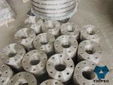 ANSI / Asme / DIN / BS / En Stainless Steel Flange