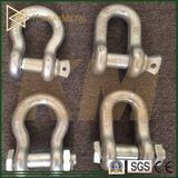 Us Type Hot DIP Galvanized Drop Forged Shackle