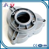 High Precision OEM Custom Die-Casting (SYD0088)