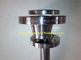 F51 Flange Duplex Stainless Steel Flange