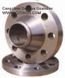 Steel Flange / Welded Neck Steel Flange