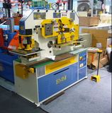 IW-60 Single Cylinder Hydraulic Universal Multi-Function Ironworker Machine