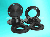 Forged Flange/Pipe Flange/Flange