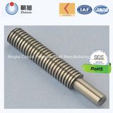 China Supplier Customized Non-Standard Dual Diameter Shaft