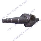 China OEM Steel Alloy Forged Crank Shaft