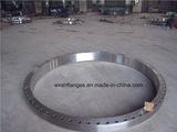 Free Forging Stainless Steel Flange