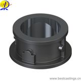 OEM Customized Stainless Steel Centrifugal Casting