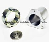 Aluminum CNC Turning Parts for Automatic Lathe Part (MQ128)