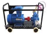 Gasoline Diesel Kerosene Self- Priming Vane Pump