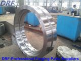 Alloy Steel Forgings Factory