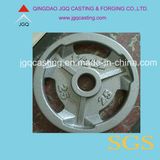 Precision Investment Iron Casting Parts