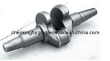 Engine Crankshaft Forging