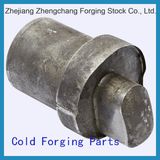 Cold Forging Parts of Auto Parts