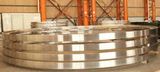 Steel Forged Flange (WX006)