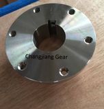 Stainless Steel Flange