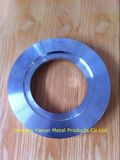 Ss Stainless Steel Flange