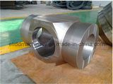 Valve Forgings (ELIDD-25A)