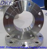 Welding Neck Flange, DIN, Forging Flange, Stainless Steel