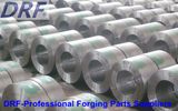 Ring Flange, Forging Ring, Stainless Steel Ring Forging